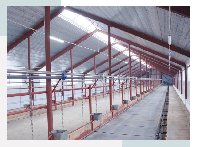 Строительство коровников в Кохме от 623 руб.